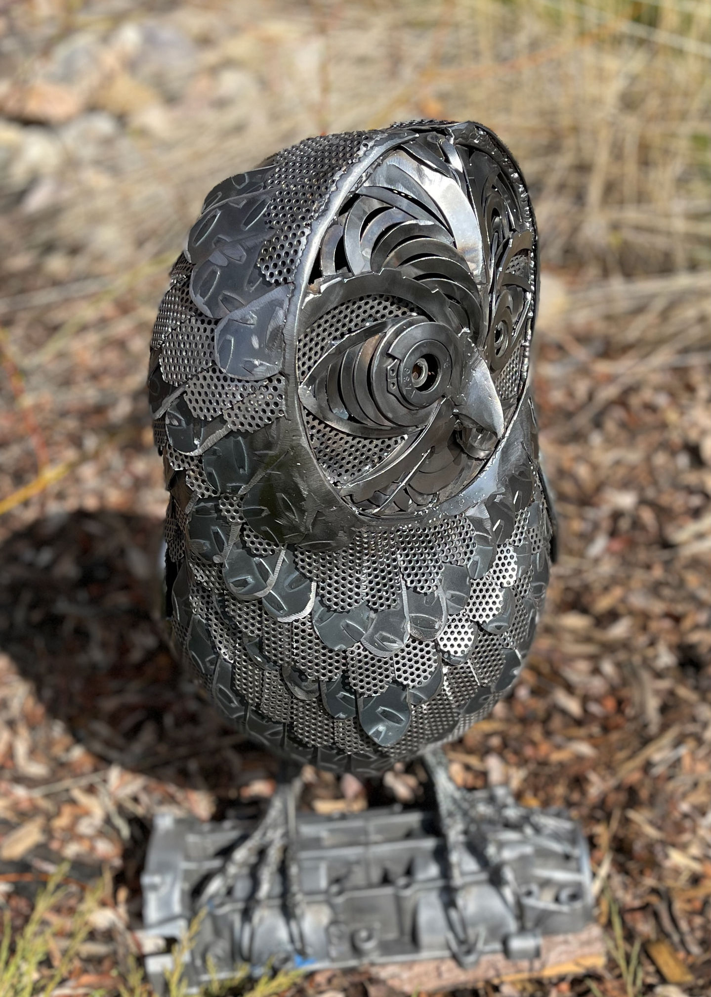 Owl - 2 of 5