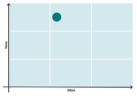 Voice of the Customer