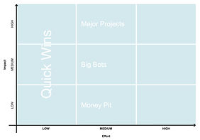 Voice of the Customer