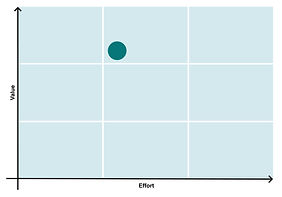 Voice of the Customer