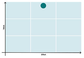 Voice of the Customer