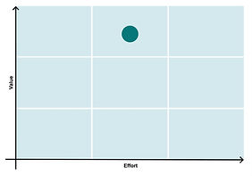 Voice of the Customer