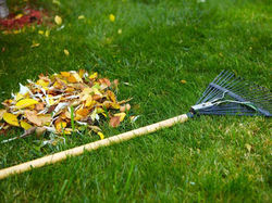 before-the-final-years-cut-of-a-lawn-it-helps-to-remove-or
