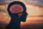 uma imagem que representa a Reabilitação Cognitiva da Memória