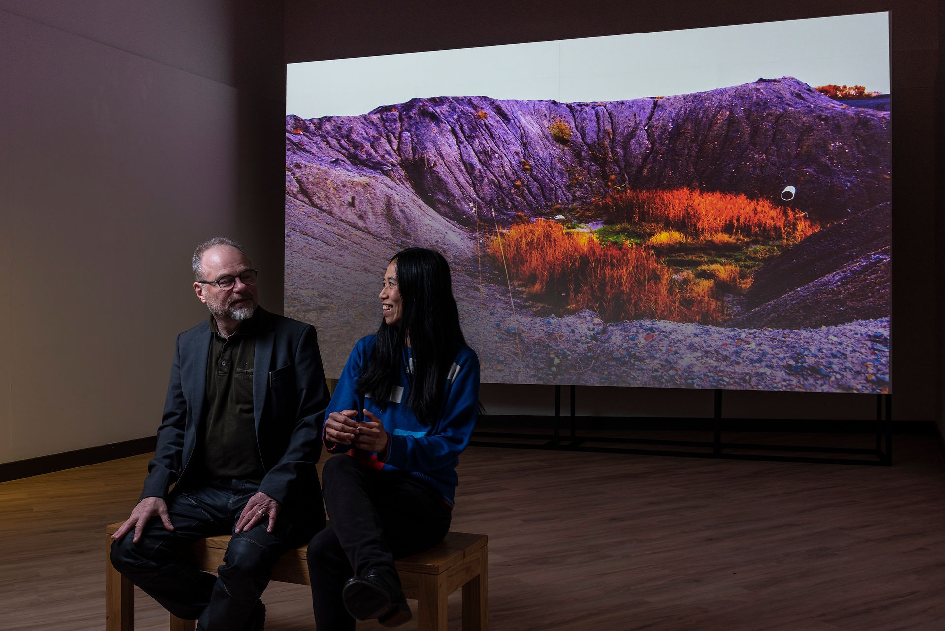 Two people view large landscape projection