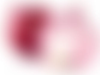 5. VERDURAS
