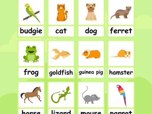 Pets