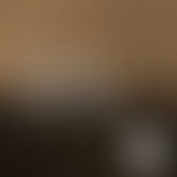 Development Update | Westminster Park, Liverpool