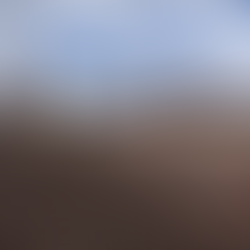 Carlton Court, Liverpool