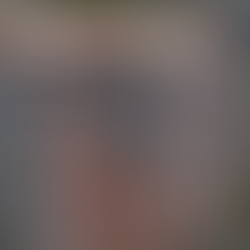 Drone footage at Westminster Park