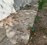 Photo Avant - Allée en Béton