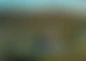 ロサンゼルス ノースリッジ