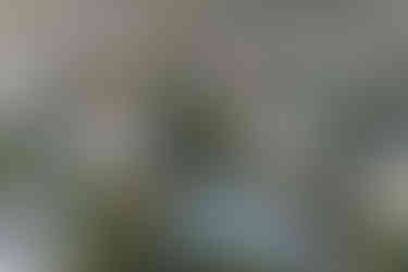 ロサンゼルス ノースリッジ