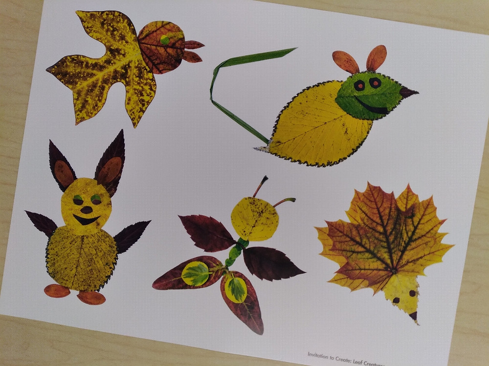 leaf creature inspiration photo