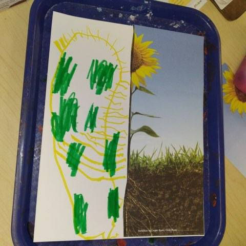 child's root drawing created with marker on tray