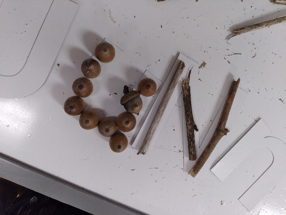 letters made from nature items