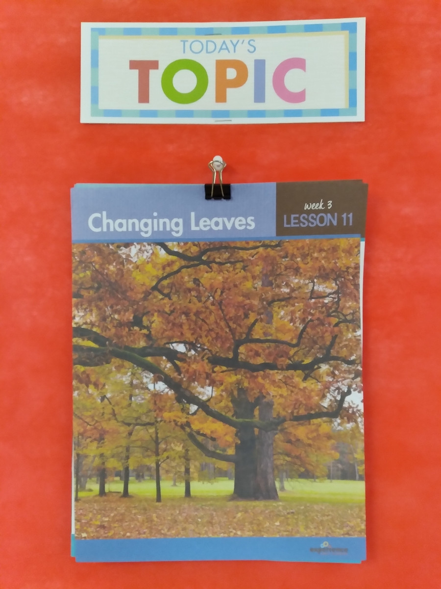 topic poster for Changing Leaves