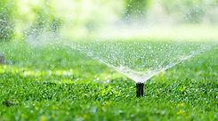 irrigation.jpg