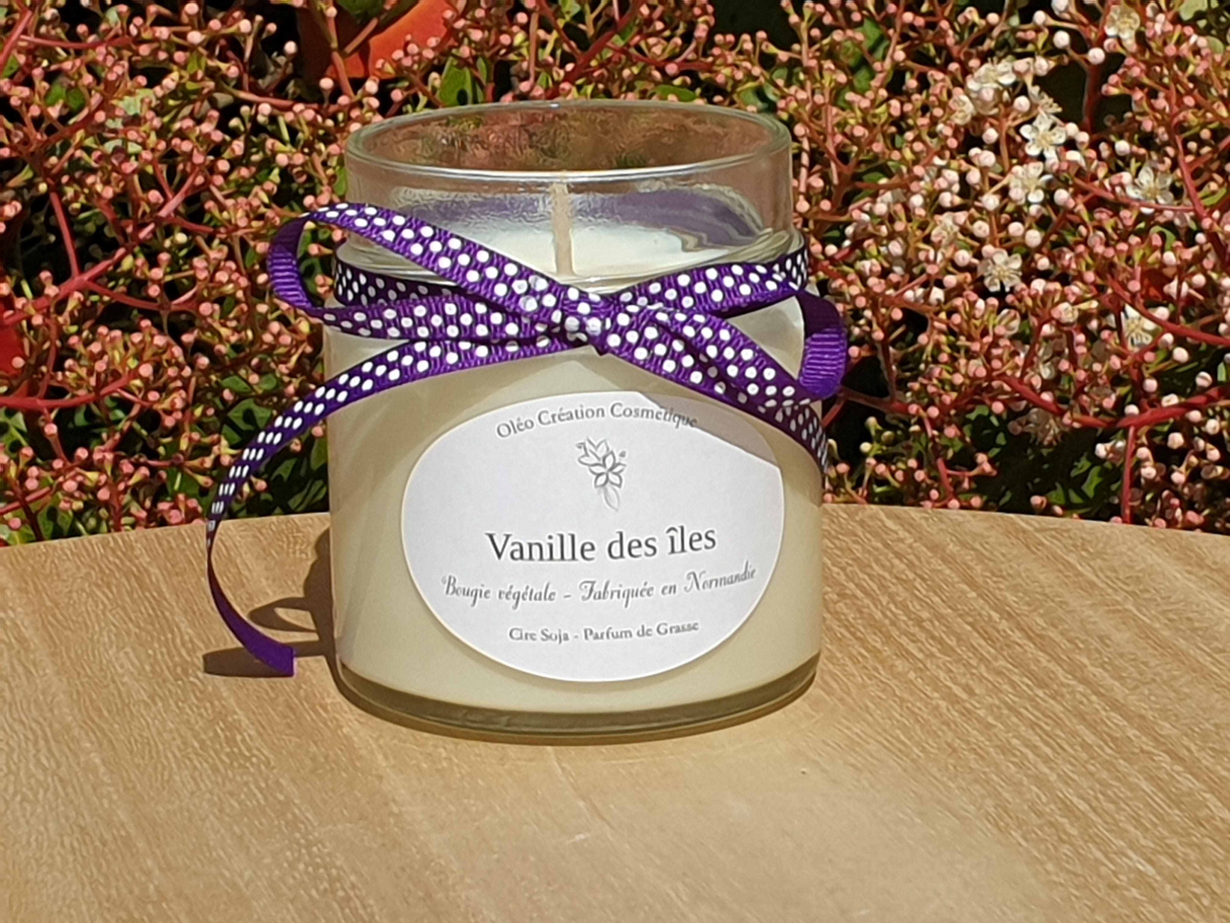 Bougie parfumée Vanille des îles - Grand modèle