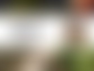 Feriados de 2026: o momento ideal para planejar sua próxima experiência