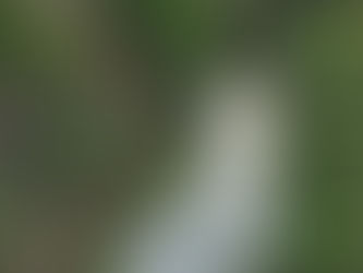 Um Pantanal: longas distâncias e experiências diferentes. Suas férias serão inesquecíveis.