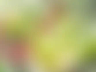 自制荔枝青提茉莉冰茶,全家人的夏日清凉选择🍹