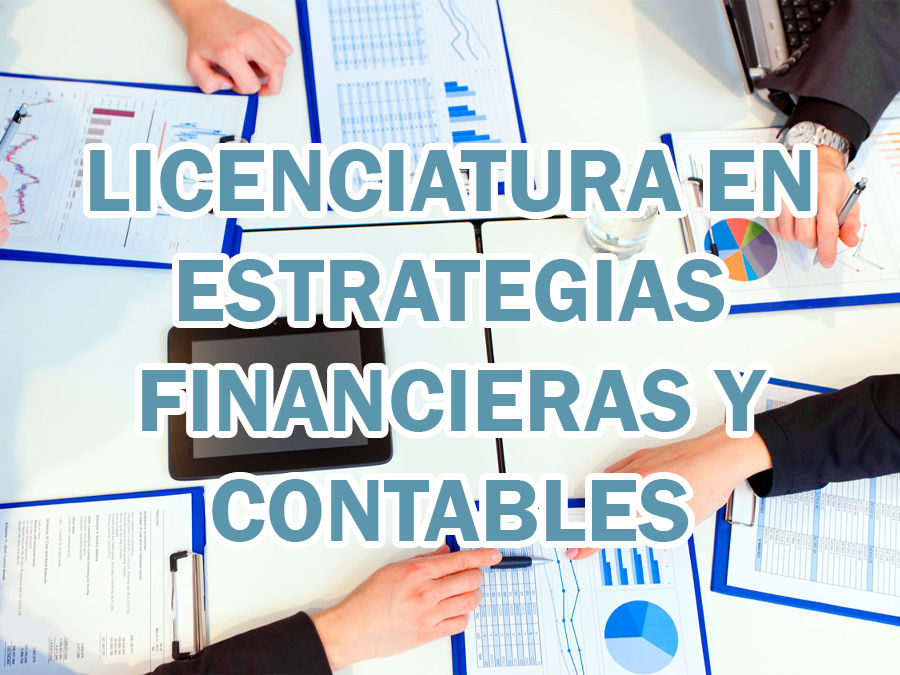 Lic. en Estrategias Financieras y Contables