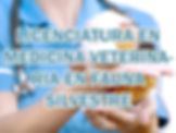 Lic. en Medicina Veterinaria en Fauna Silvestre