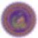 ccws logo.png