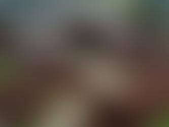 se débarraser de sa ferraille