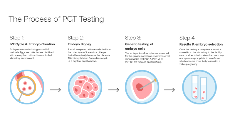 Illustration of the PGT testing process during IVF showing embryo biopsy, genetic screening, and embryo selection before transfer in Mexico.