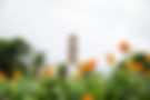 view-fortuna-town-church-from-park-costa-rica.jpg