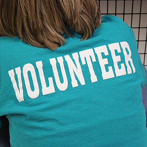 Volunteer Shirt from behind_web.jpg