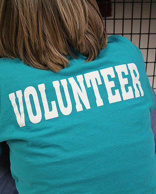 Volunteer Shirt from behind_web.jpg