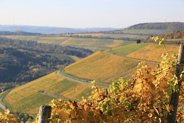 Dominikanerberg Ruwertal