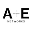 AE Networks.png