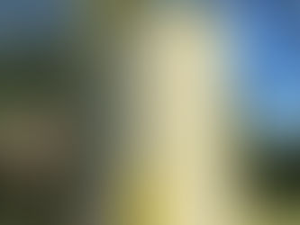 Why Tarsco Bolted Tanks Reign Supreme: A Closer Look at Unrivaled Engineering, Coatings, and Installation Expertise