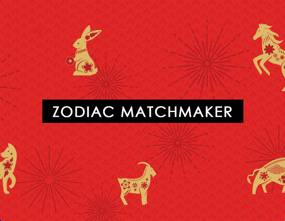 Zodiac Matchmaker