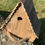 Thumbnail: Alpine bird house