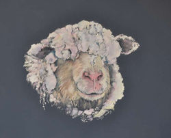 Looks good from here