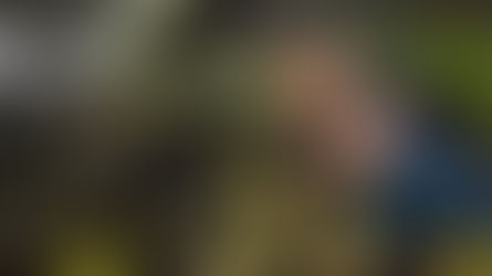 Пет лесни начина за поддръжка на мотор (и защо не трябва да ги пренебрегваш)