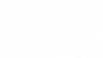 Delfine-pattern-two-white-on-blue.webp