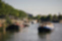 20250730_Delfine selection_KP_002__O4A4463.jpg