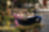 Website-Banner Image.jpg