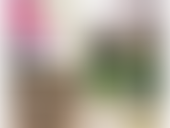 【お知らせ】2月撮影ご予約受付開始&お年玉プレゼント。