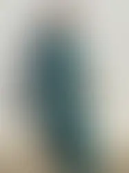 Invitada ideal con tono verde petróleo