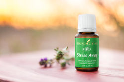 15046134936_34b946c17e_o-2