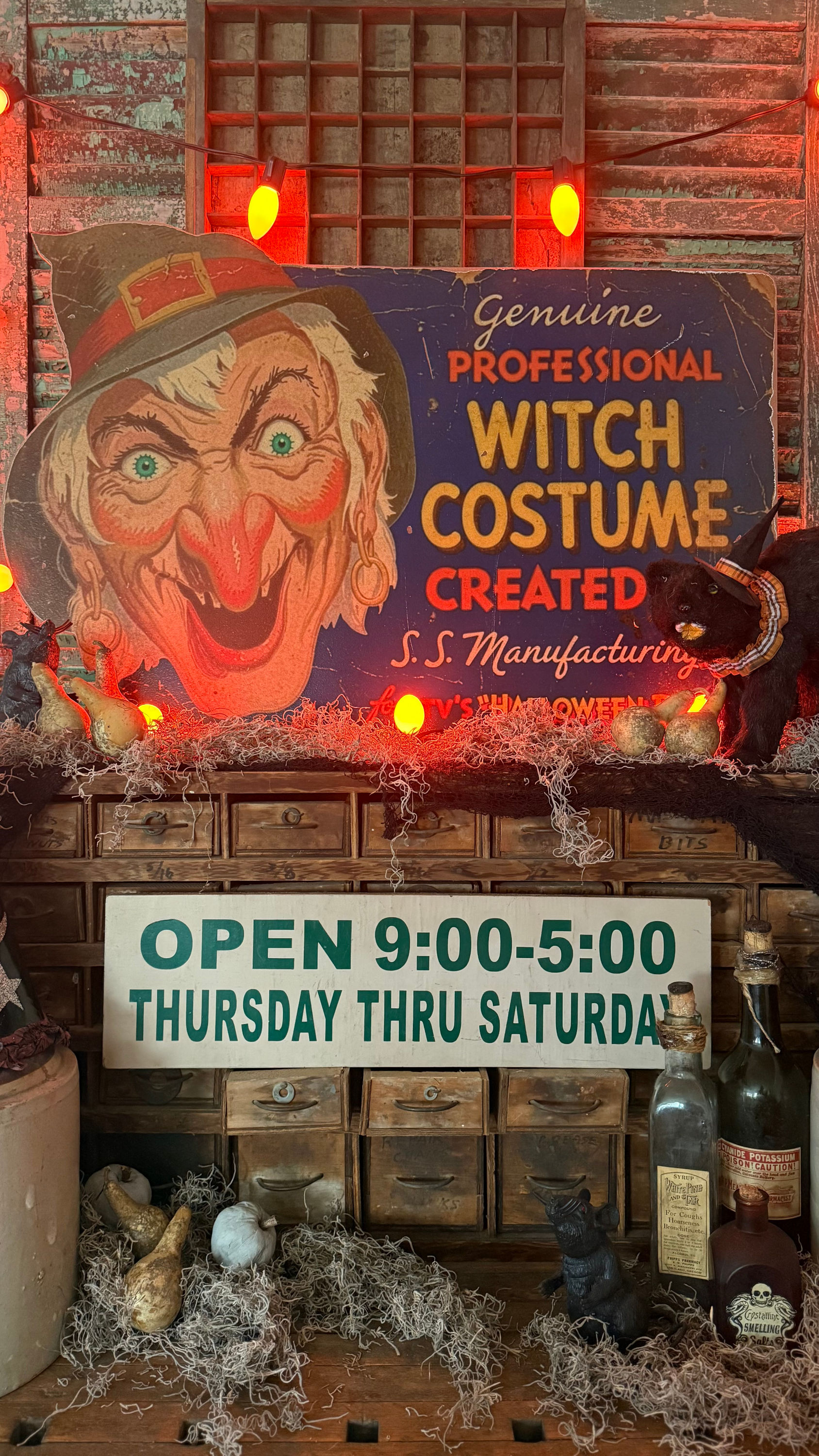 Witch Costume Sign