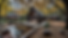 _7B4F59833D-E769-46DF-ABE8-329312174200_7D-enhanced (1).png