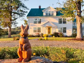 What is Big Daddy Rabbit?